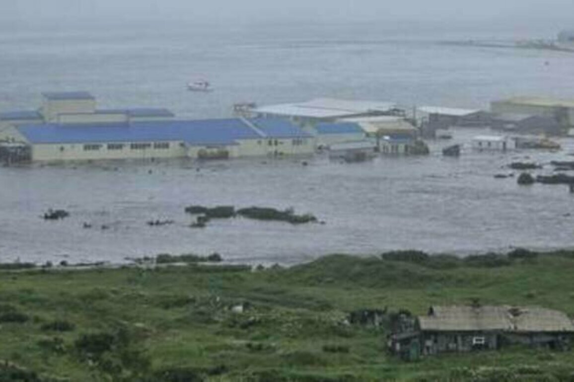 Tsunami hits Russia's Kuril Islands (VIDEOS)