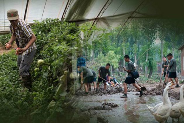 China&#039;s Mass Rural Youth Volunteer Program Aims to Avoid Unrest