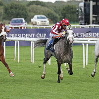 UAE President's Cup for Purebred Arabian Horses in Doncaster opens tomorrow