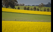 The Agricultural Census will provide an accurate picture of Australian agriculture. Picture Mark Saunders.