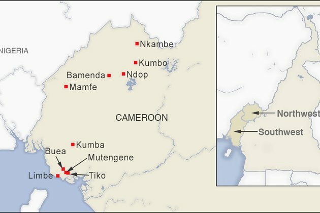 Rights Groups Condemn Attack on Aid Workers in Cameroon