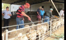 An EID survey is available for sheep and goat producers in Tasmania.