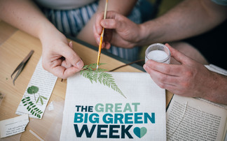 The community dividend green businesses are leaving on the table