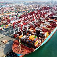 Interview: China plays positive role in global shipping's green transit, says IMO chief
