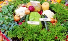 Aussie veg industry must spread roots