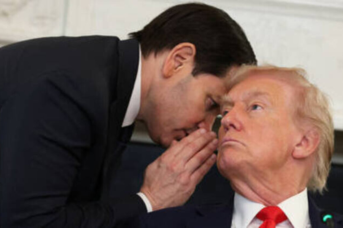 Rubio could lead Cuba - Trump