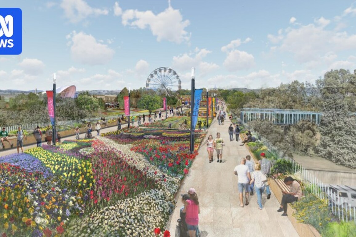 New concept designs offer glimpse into the future of Canberra's Commonwealth Park
