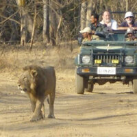 Gujarat among top 3 states visited by foreign tourists since 2024