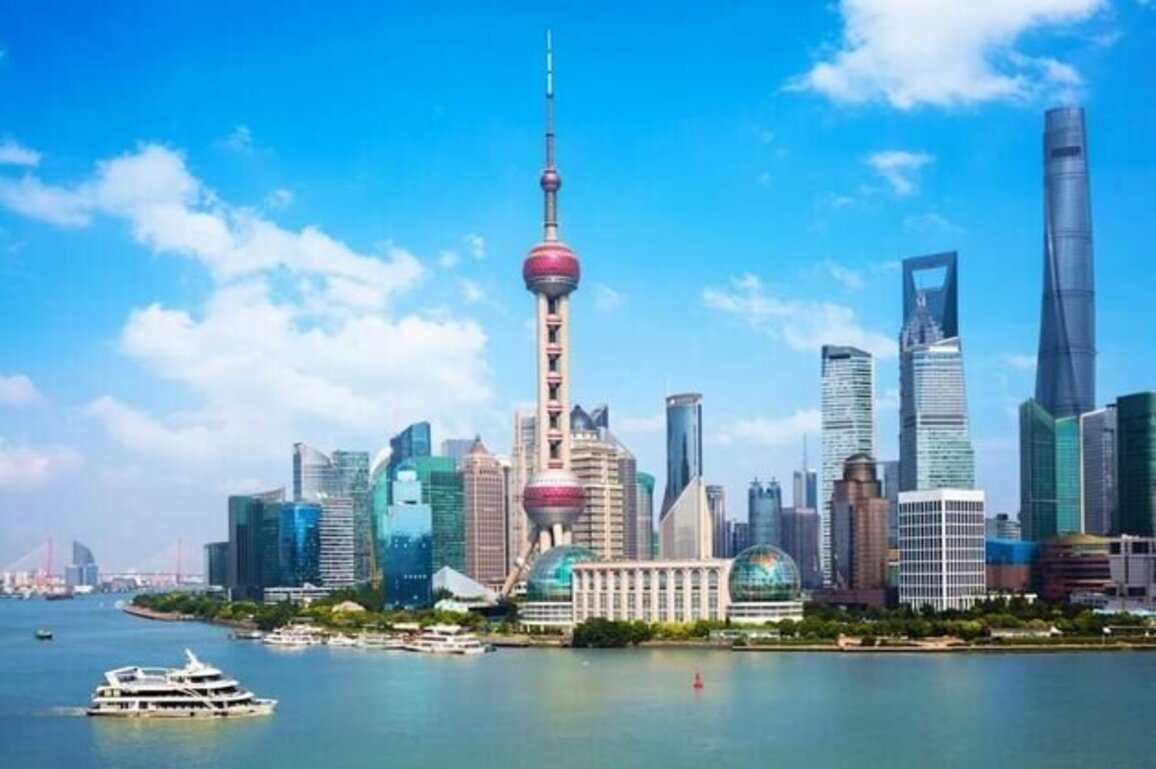 China's service trade rises 7.1% in first 11 months