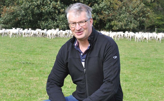 Farming matters: Huw Davies - 'Wales exports 40 per cent of its lamb - we need frictionless trade'