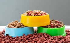 L Catterton backs China pet food brand
