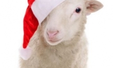 Christmas warning for farm visitors