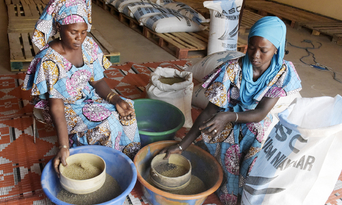 In rural Senegal, seeds of hope for working women In rural Senegal, seeds of hope for working women