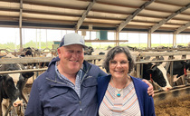 From Northern Ireland to South Dakota: Lessons in building a resilient dairy business