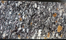  Shocked gneiss in drill core from the central uplift of the Woodleigh impact structure.