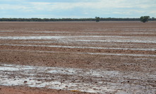 Some areas of Western Australia received much-needed rainfall in March after a long hot, dry spell. Photo: Mark Saunders.