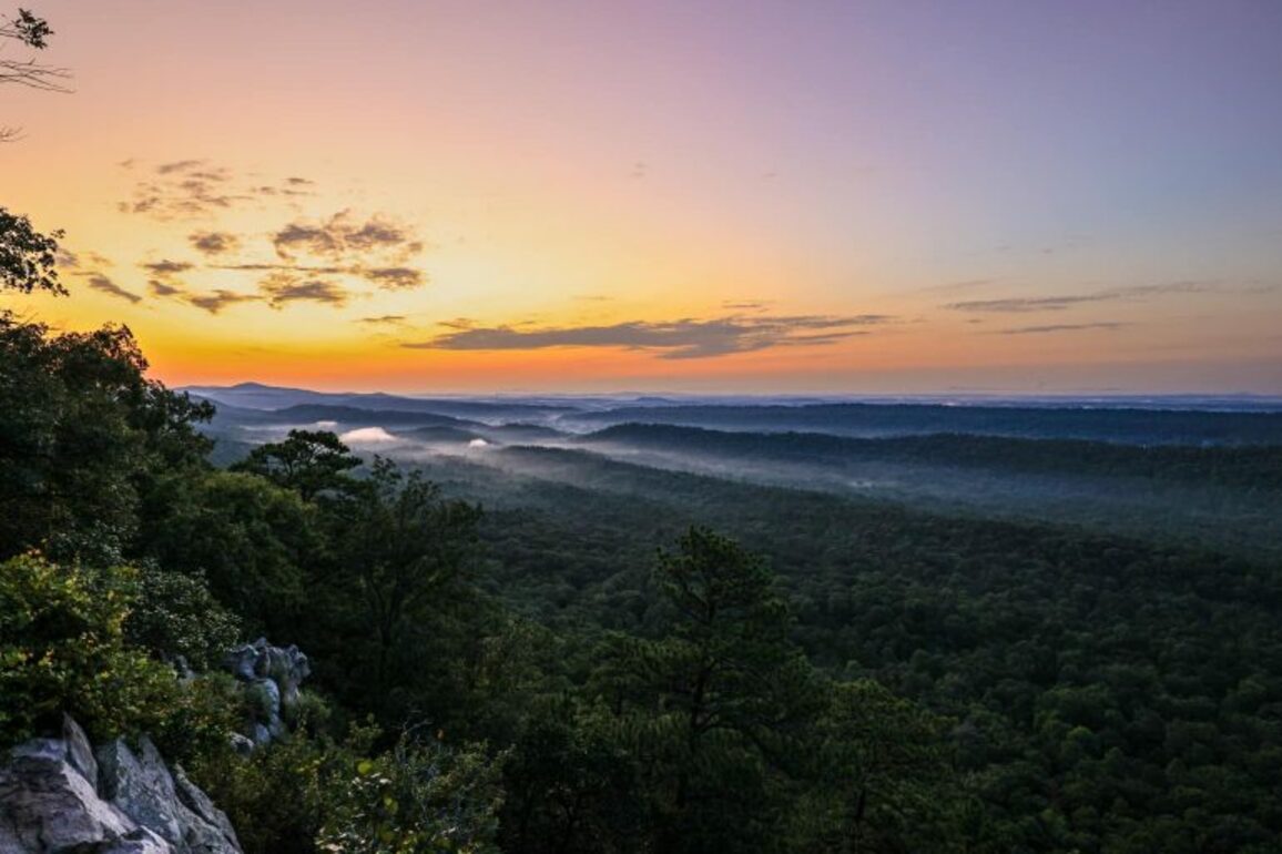 Alabama State Parks accepting applications for new Ambassador program