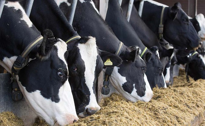 Challenges ahead for Arla despite positive half-year results