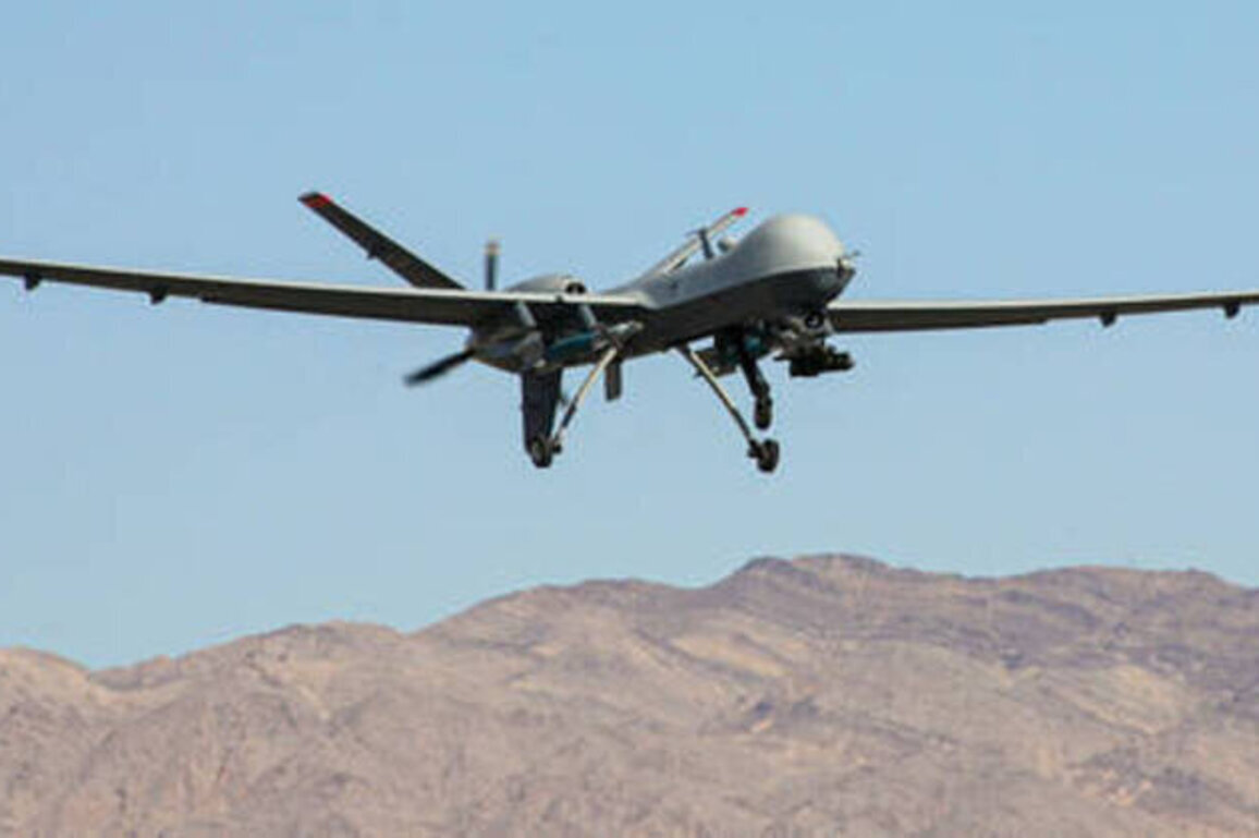 Iran wiped out fifth of US Reaper drone fleet - Bloomberg