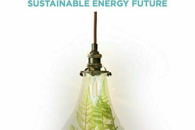 Asia needs just energy transition, not 'energy addition,' says Fair Finance Asia study