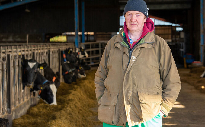 DAIRY SPECIAL: Conversion to organic system calls for more robust cattle