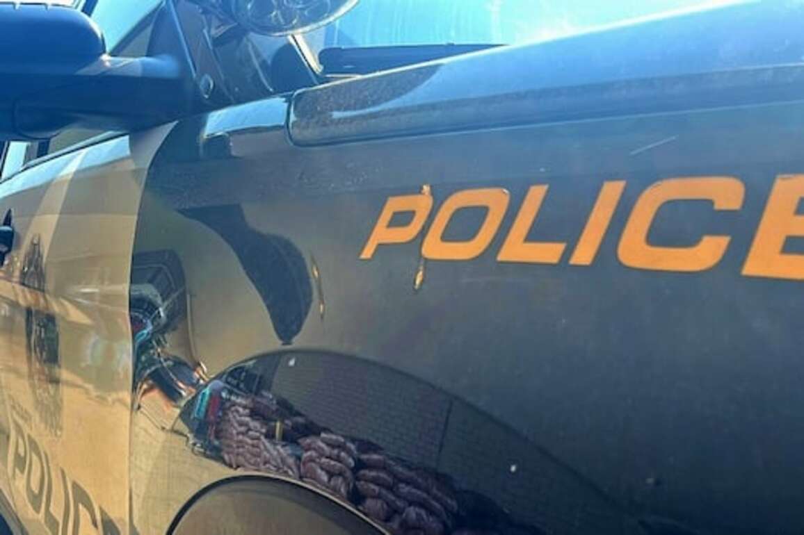 Calgary police investigating fatal shooting in southwest as 'domestic-related'