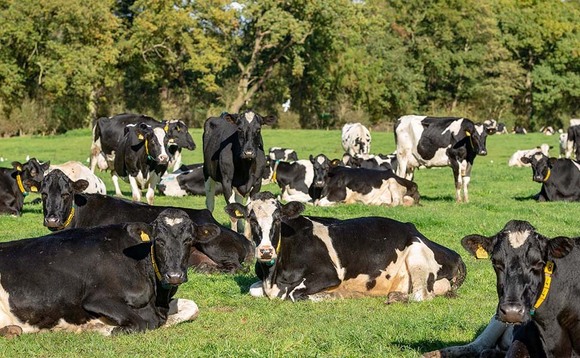 Welsh dairy farmers dimiss support scheme as 'inhibitive'