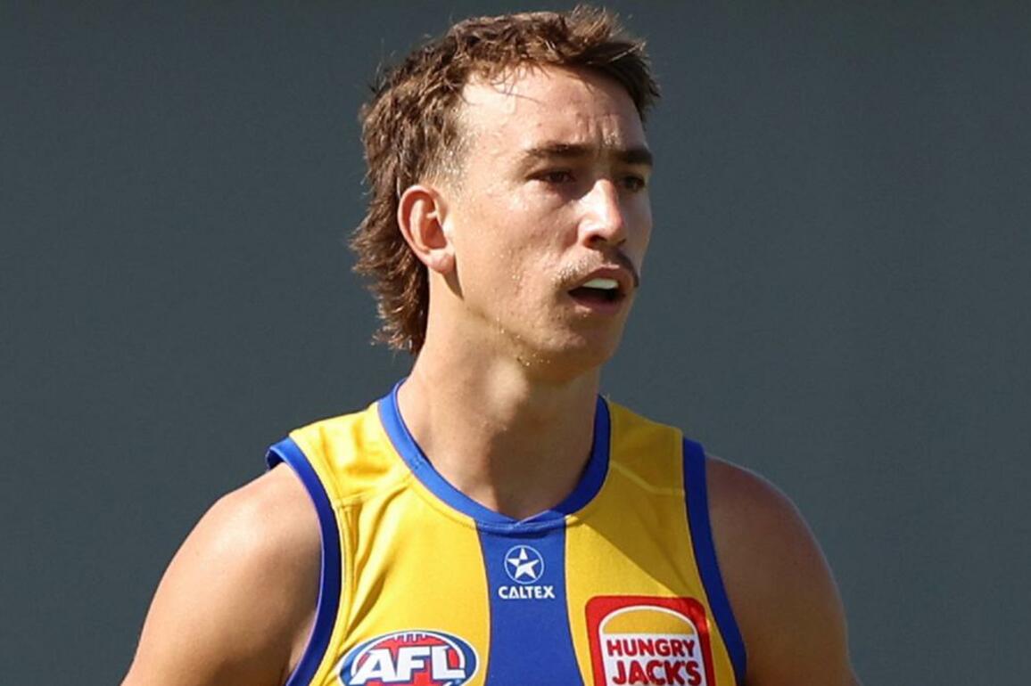 West Coast defender Brady Hough says he wants to add offensive side to his game in 2025 AFL season