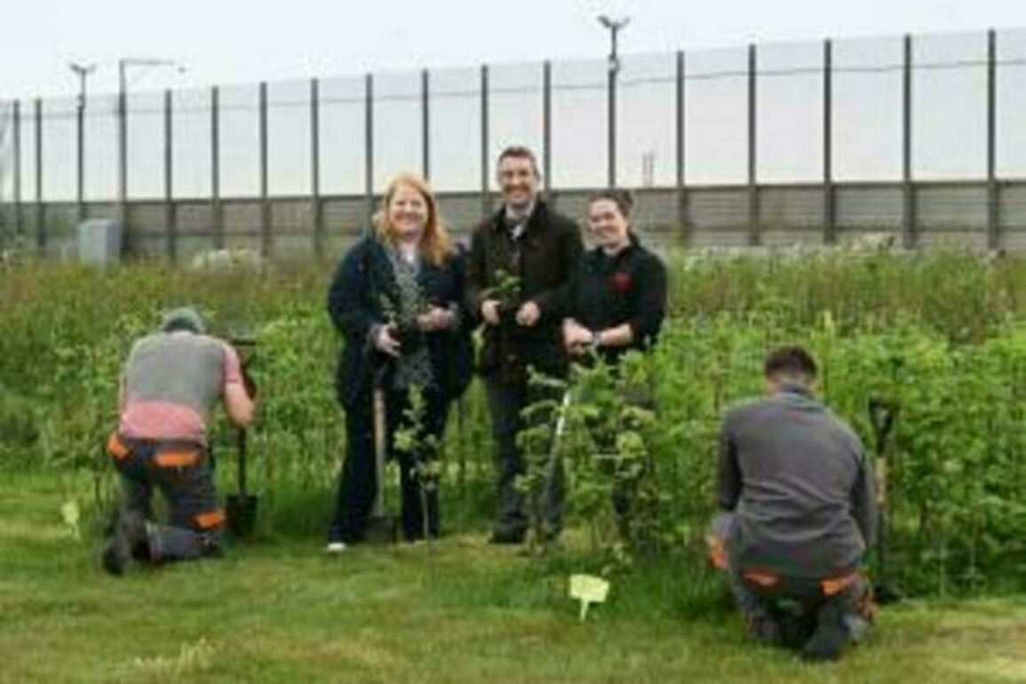 Long and Muir visit tree nursery at Magilligan Prison