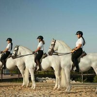 Abu Dhabi Royal Equestrian Arts to join leading schools of classical horsemanship in opening ceremony