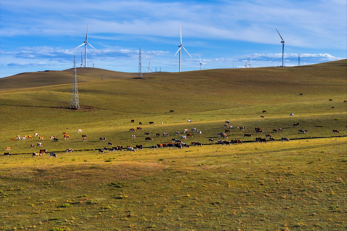 CHINA-INNER MONGOLIA-GRASSLAND-AUTUMN SCENERY (CN)
