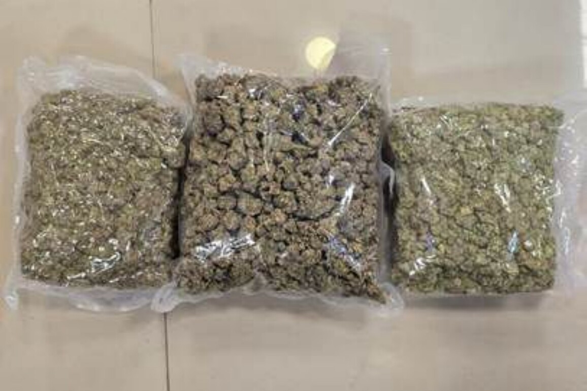 DRI Mumbai seizes drugs in food packets- Hydroponic weed worth Rs 42 crore seized at Mumbai Airport; two arrested