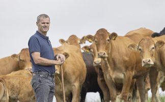 How a Gloucestershire suckler herd cut finishing time by six weeks