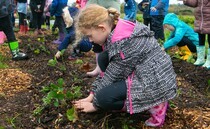 OPINION: New entrant or fifth generation – why is the farming education conversation so divisive?