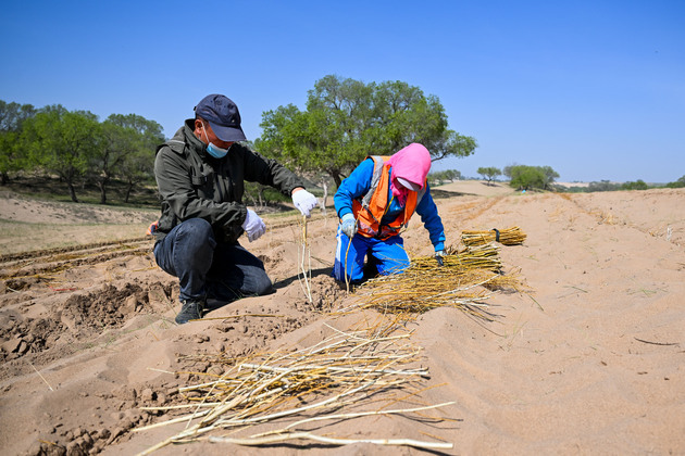 CHINA-INNER MONGOLIA-SAND CONTROL (CN)