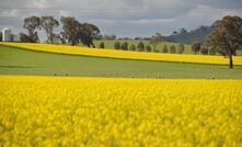 What will the latest US-China deal on agricultural commodities mean for Australia?