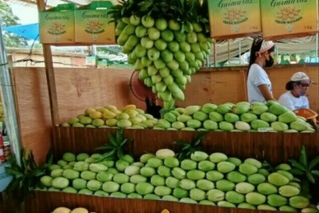 10 tons of mangoes at stake at Guimaras all-you-can-eat fest