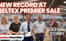 Beltex Premier Sale sees new record of 70,000gns | Sale Ring Stories Ep. 3 