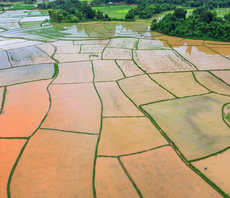 Google unveils AI model that can predict extreme floods five days in advance