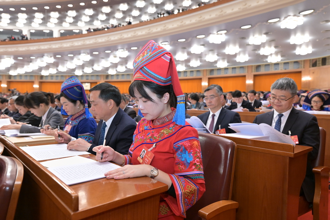 Interview: China's whole-process people's democracy offers valuable insights for int'l community, says Serbian lawmaker