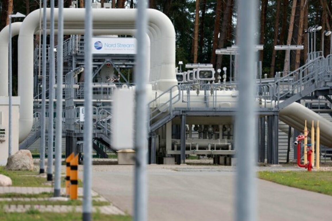 Europe Well Prepared if Russia Halts All Gas Supplies, EU Leader Says
