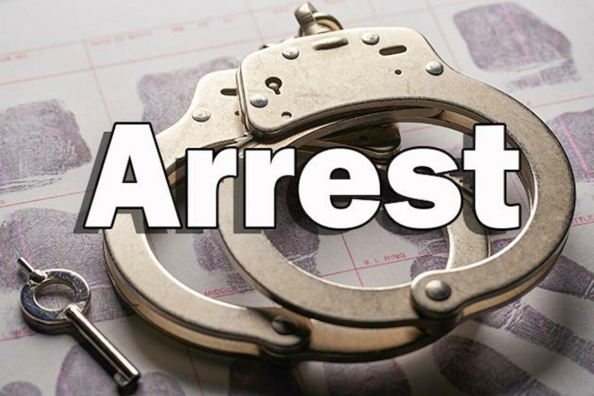 Ethiopian security forces arrest Boko Haram, al-Shabab linked suspects