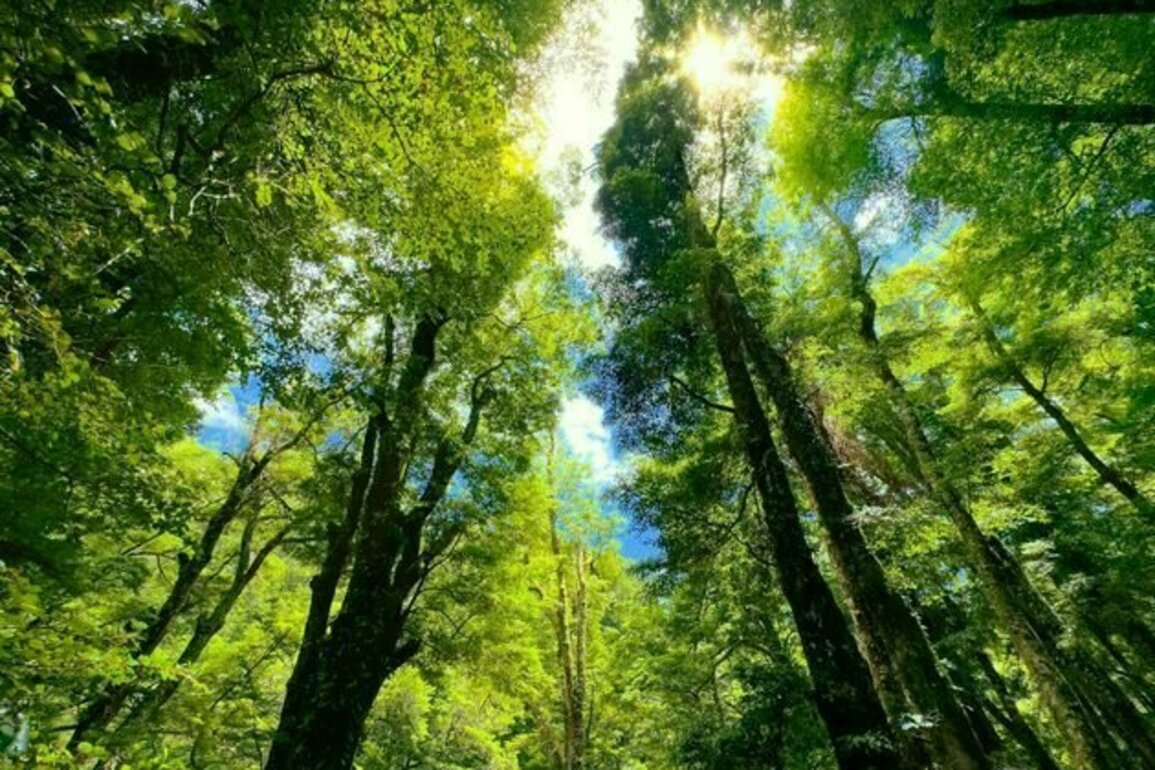 The latest update on NZ's state of the environment is sobering - but there are glimmers of progress