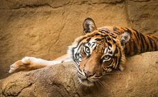 Prudentia backs Metz-Amnéville zoological park