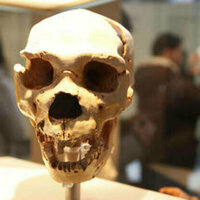 UK to return remains of war heroes to African nation - media