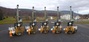 Igne’s fleet of sonic rigs for site investigation work Credit: Igne