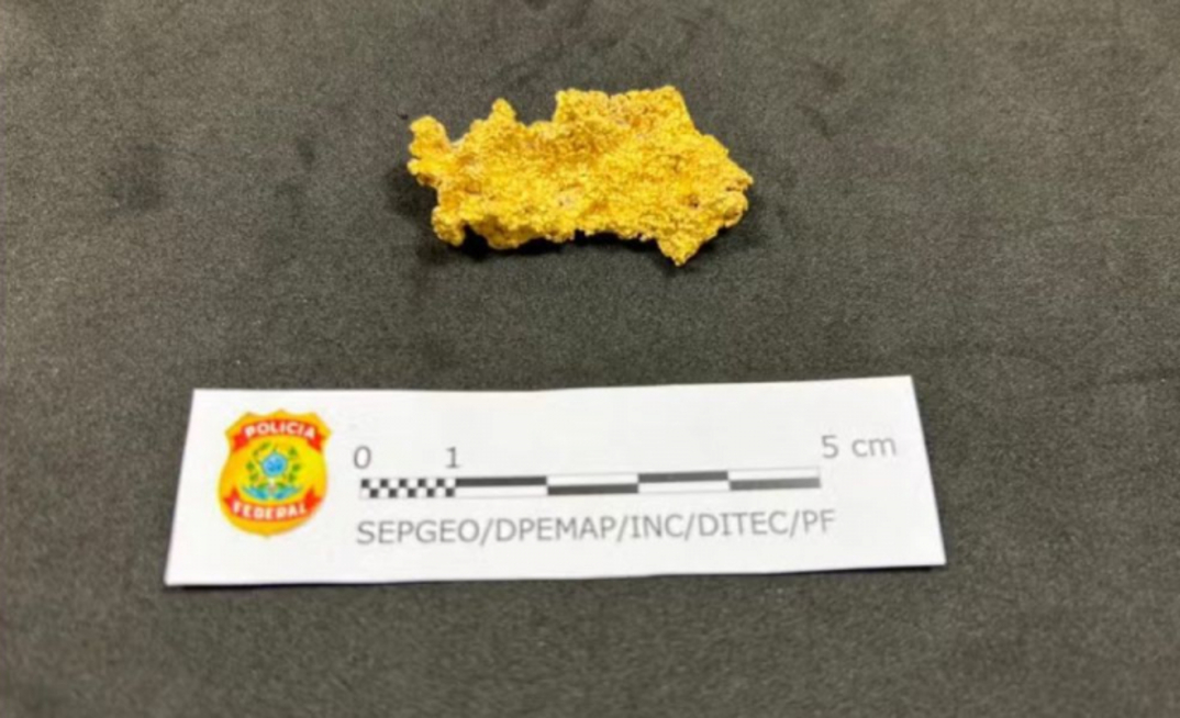 Pepita de ouro preendida com presidente do PL, Valdemar Costa Neto, pela PF/Divulgação