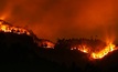 More than one billion tonnes of carbon dioxide has been emitted by this year's wildfires. 