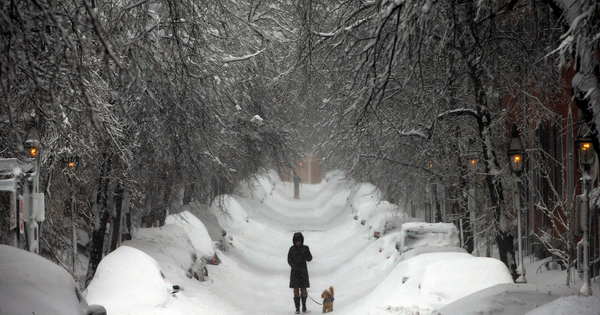 US winter storm causes 850 , 000 power outages , forces 10 , 000 flight cancellations