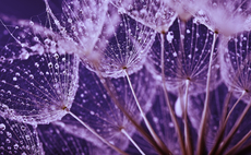 COP15 is an opportunity for the UK to champion nature on a global stage